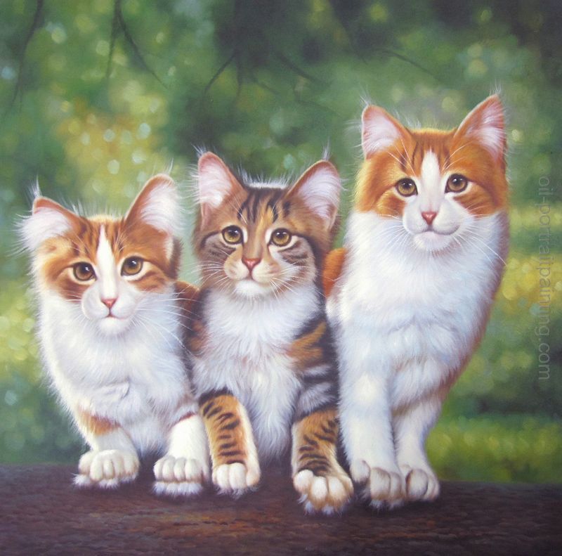 800x791 Photo To Painting, Pet Portrait Painting, Cat Oil Portrait - Cat Oil Painting