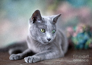 300x214 Cat Oil Paintings Fine Art America - Cat Oil Painting