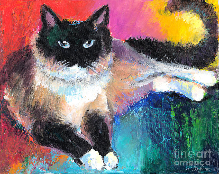 900x715 Colorful Ragdoll Cat Painting Painting By Svetlana Novikova - Cat Painting Colorful