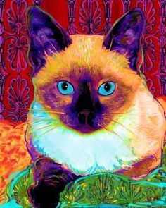 236x295 Balinese Cat Original Oil Painting By Astudiobythesea On Etsy - Cat Painting Colorful