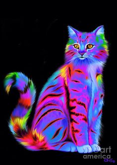 236x333 Kedi Colors Cat, Cat Paintings And Drawings - Cat Painting Colorful