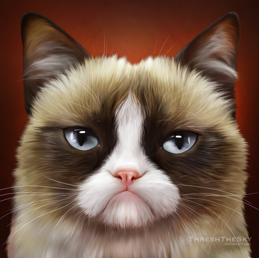 894x893 Grumpy Cat Painting By Threshthesky - Cat Painting Meme