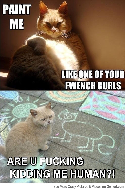 494x747 Paint Me Cat Meme - Cat Painting Meme
