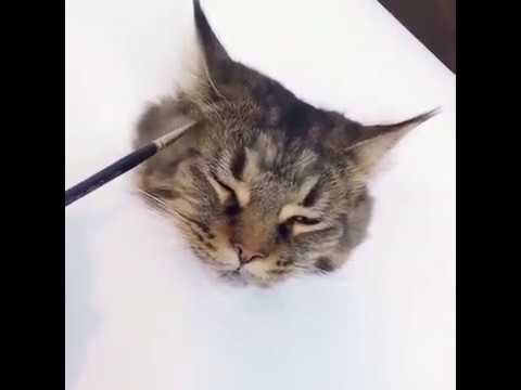 480x360 This Realistic Cat Painting Will Blow Your Mind - Cat Painting Meme