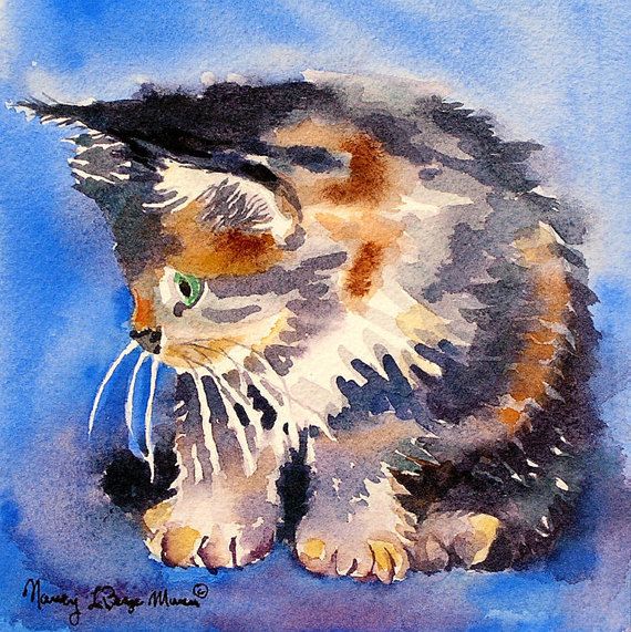 570x571 Calico Pursian Cat Art Watercolor Print, Black And White Cat - Cat Painting Meme