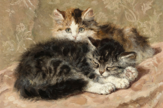 529x352 These Cat Portraits Are 19th Century Memes - Cat Painting Meme