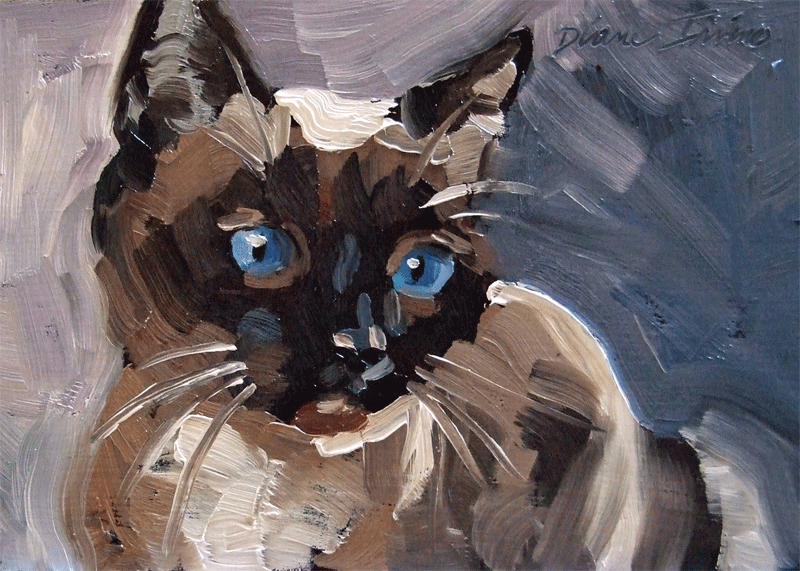 800x571 Paintings From The Parlor Black Cat And Siamese Cat Original Oil - Cat Painting Oil