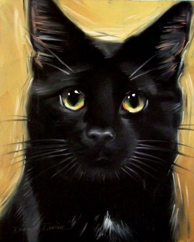 642x800 Black Cat Horatio Original Oil Painting By Diane Irvine Armitage - Cat Painting Oil