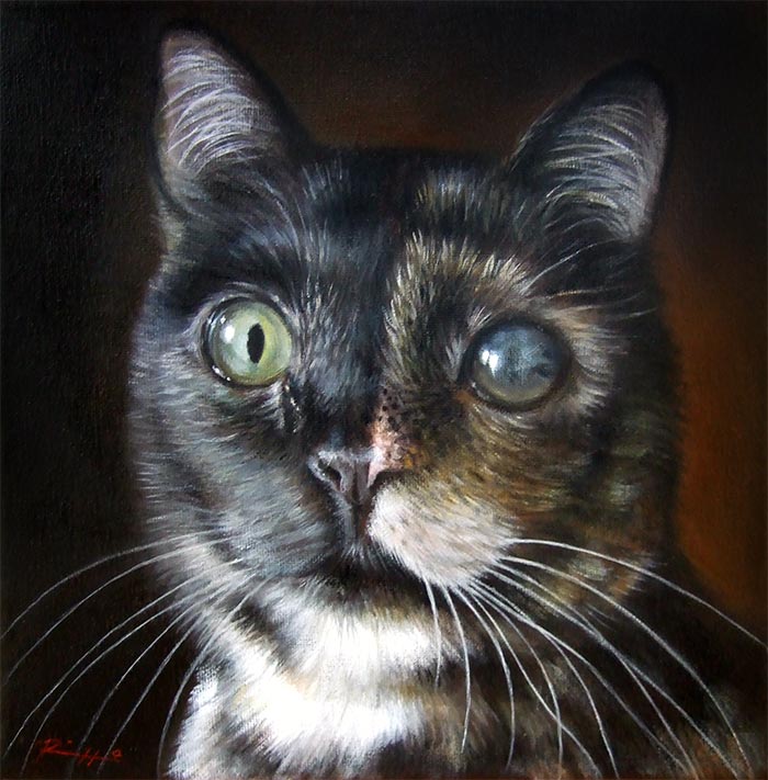 700x711 Portrait Of Mushu Commissioned Cat Portrait By Roberto Rizzo - Cat Painting On Canvas