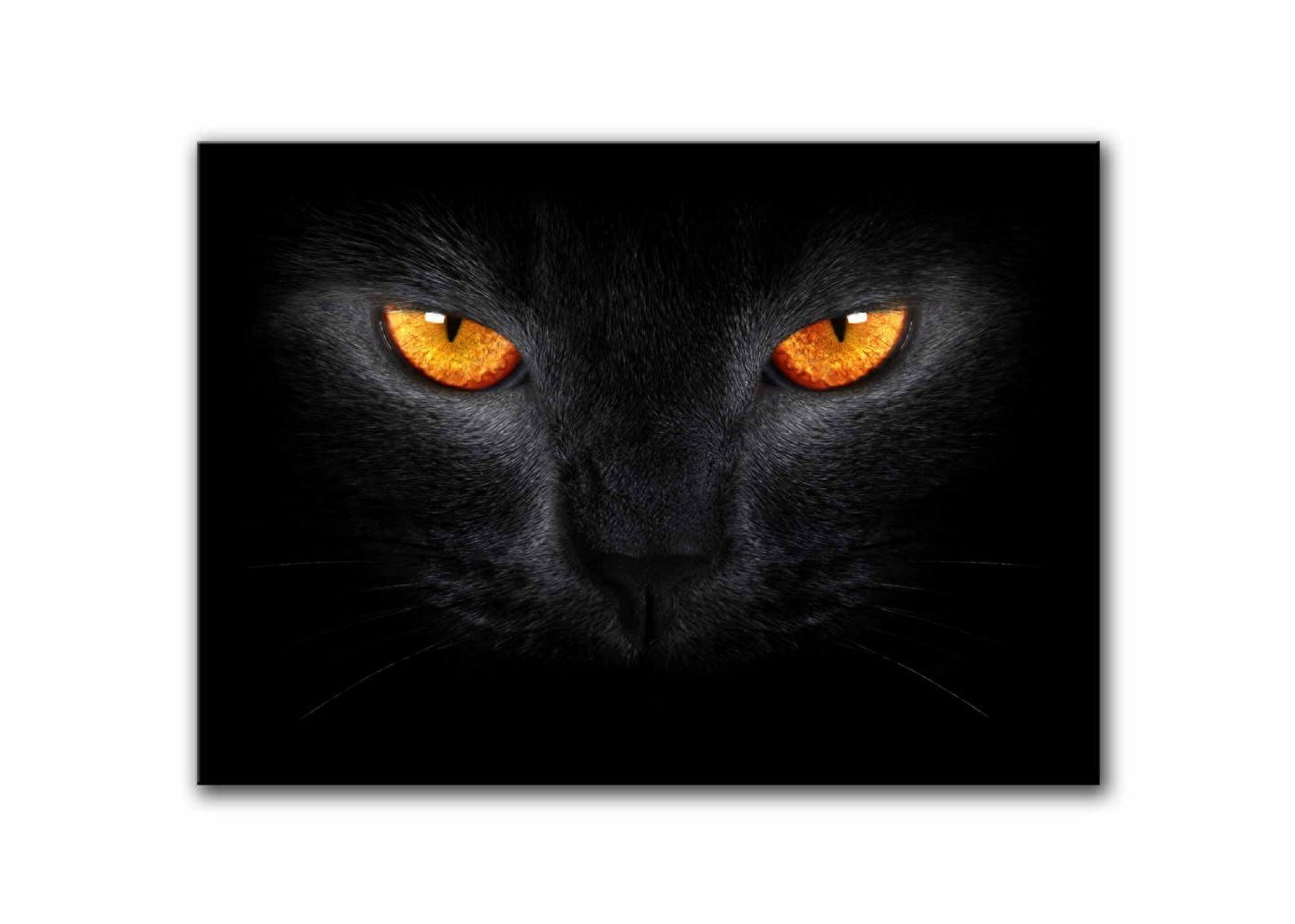 1440x1028 Black Cat Canvas Painting - Cat Painting On Canvas