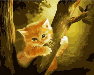 320x256 Diy Acrylic Paint By Number Kit Oil Painting On Canvas Animal Cat - Cat Painting On Canvas