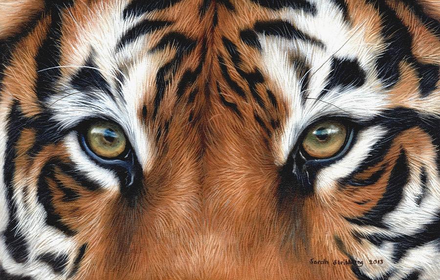 900x573 Tiger Eyes Painting By Sarah Stribbling - Cat Painting Tiger
