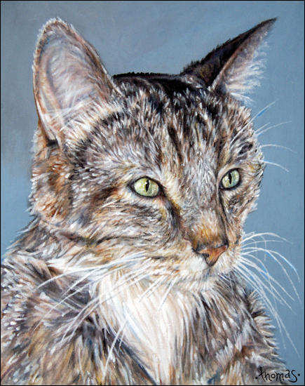 435x550 Tiger The Cat Painting And New Work In Progress Whiterabbitart Blog - Cat Painting Tiger