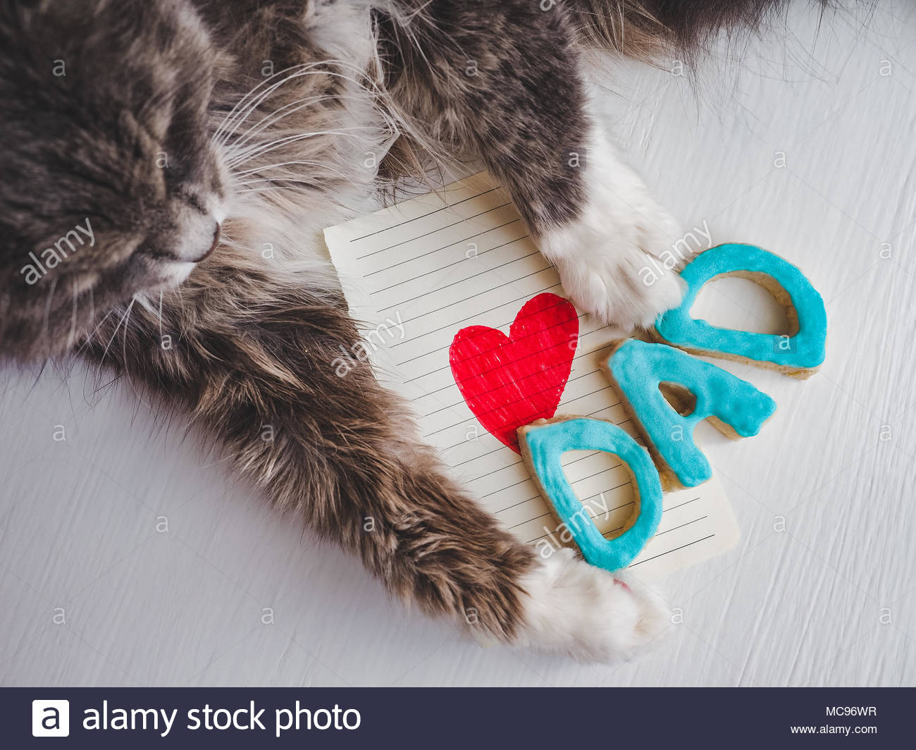1300x1064 Lovely Cat's Paws, Greeting Card With Painted, Red Heart, Word Dad - Cat Paw Painting