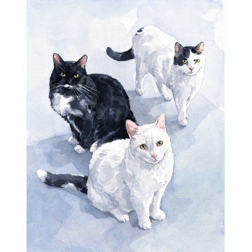 360x360 Cat Watercolor Paintings - Cat Watercolor Painting