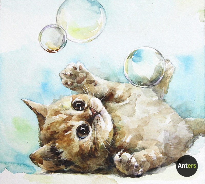 800x720 Advanced Wash Painting A Baby Cat - Cat Watercolor Painting