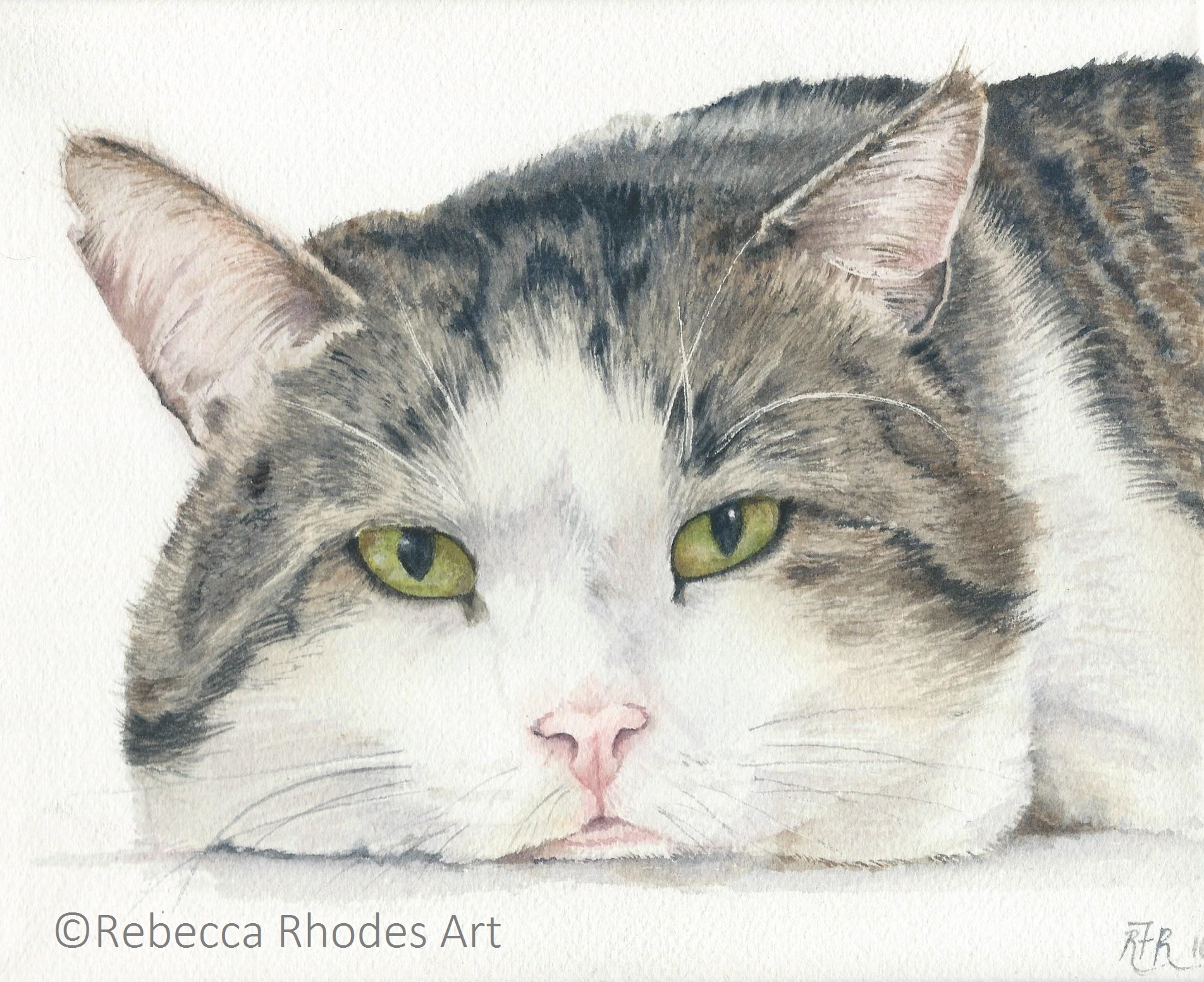 1904x1552 Titan Gallery Wrapped Watercolor Painting - Cat Watercolor Painting