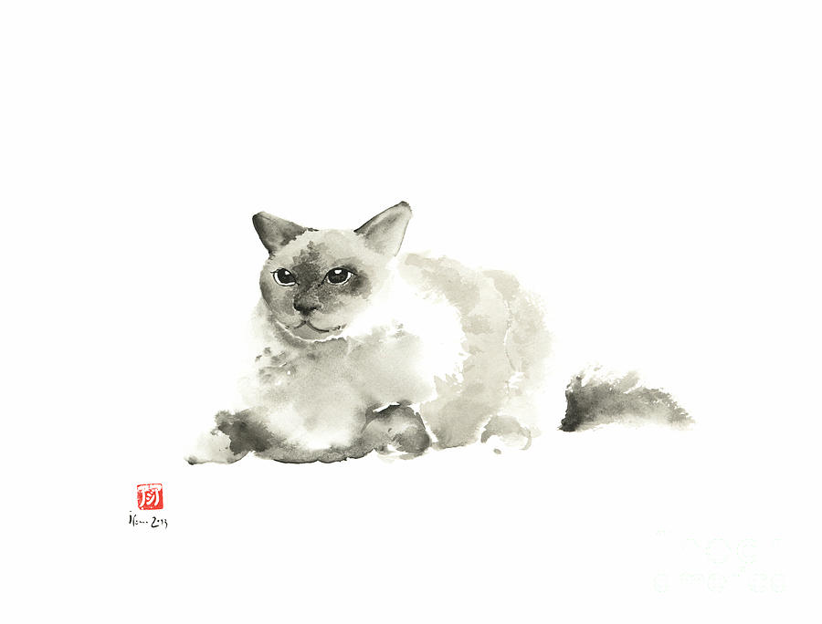 900x684 Big Grey Gray Fat Persian Cat Long Hair Fur Cats Pictures - Cat Watercolor Painting