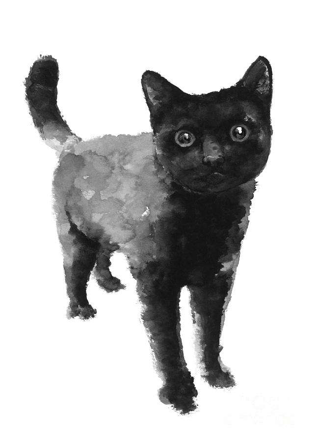 642x900 Black Cat Watercolor Painting Painting By Joanna Szmerdt - Cat Watercolor Painting