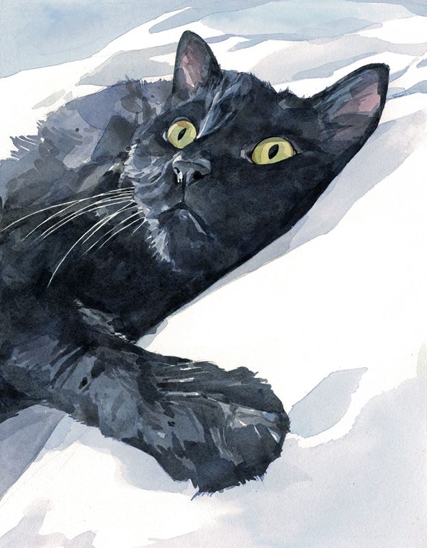 624x800 Black Cat Watercolor Painting Painting Studio, Black - Cat Watercolor Painting