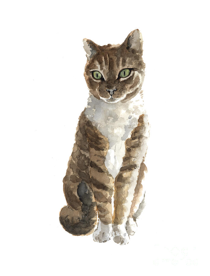 686x900 Brown Cat Watercolor Art Print Painting Painting By Joanna Szmerdt - Cat Watercolor Painting