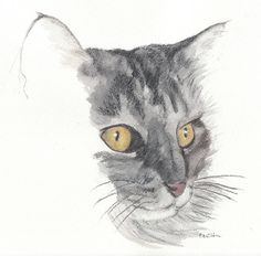 236x232 Cat's Eye Watercolor, Light Reflection And Cat - Cat Watercolor Painting