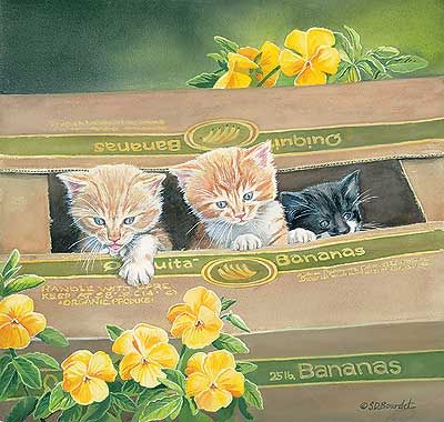 400x380 Banana Box Babes ~ Susan Bourdet Art Cute Critters Kittens - Cat With Banana Painting