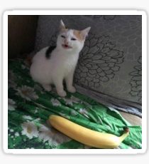 210x230 Banana Cat Painting Amp Mixed Media Gifts Amp Merchandise Redbubble - Cat With Banana Painting