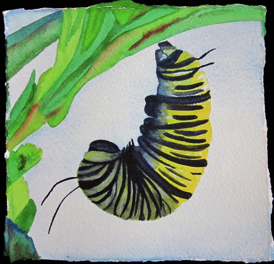 900x867 Caterpillar Painting By Teresa Beyer - Caterpillar Painting
