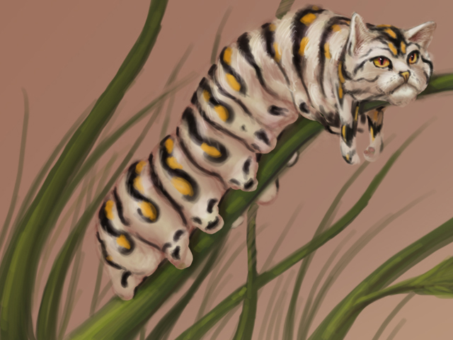 640x480 Caterpillar By Sycra - Caterpillar Painting