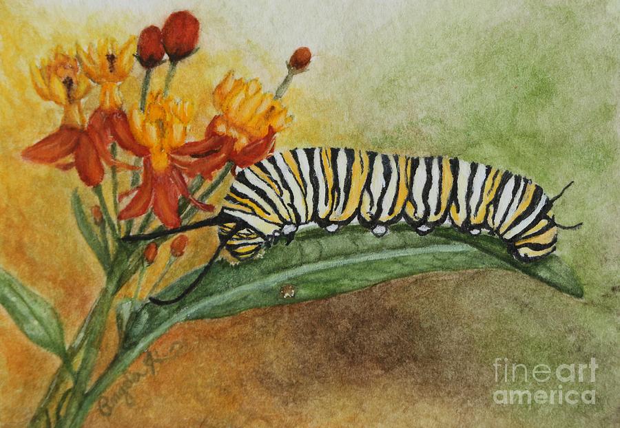 900x622 Monarch Caterpillar And Milkweed Painting By Angela Koehler - Caterpillar Painting