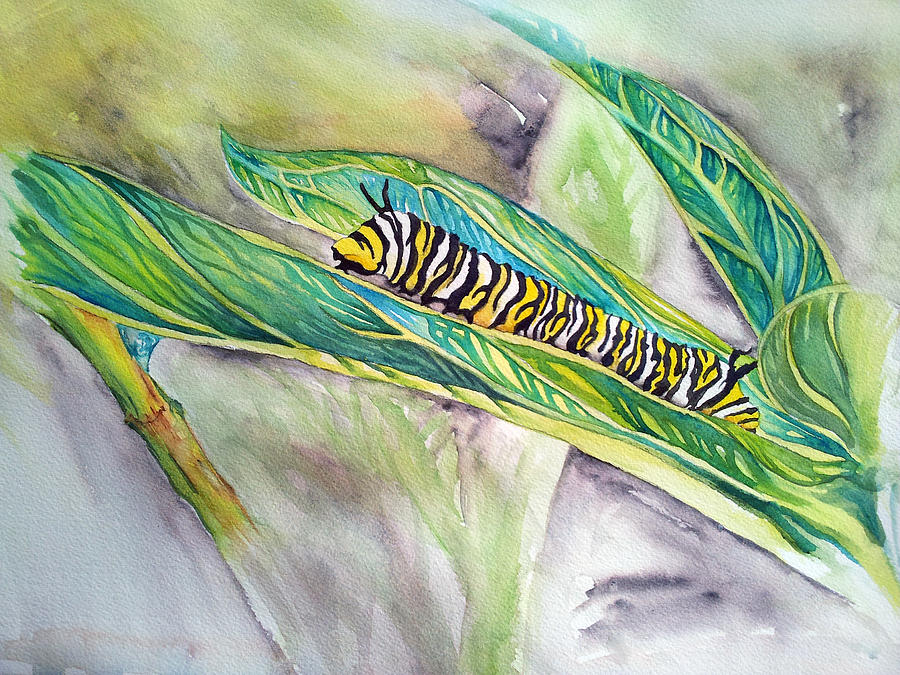 900x675 Monarch Caterpillar Painting By Kathy Sturr - Caterpillar Painting
