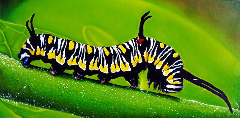 770x378 Saatchi Art Danaus Gilippus Caterpillar Painting By Matteo Germano - Caterpillar Painting