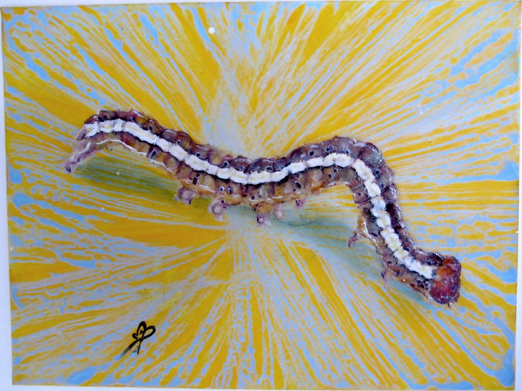 1024x767 Caterpillar Oil Painting On Canvas Bugs Art Bug By Significantart - Caterpillar Painting