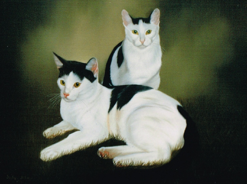 800x597 Pet Portraits - Cats Painting Pictures