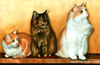 336x220 Picture Your Cat In A Hand Painted Pet Portrait - Cats Painting Pictures