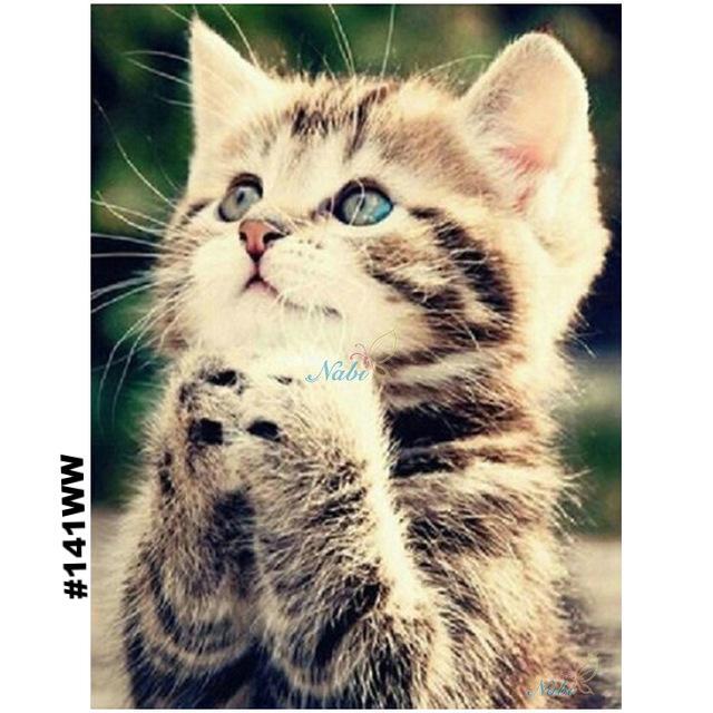 640x640 Cats Square Diamond Painting The Dogwood Blooms - Cats Painting Pictures