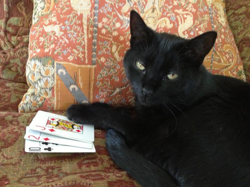 816x612 Cats Playing Poker In New York City - Cats Playing Poker Painting