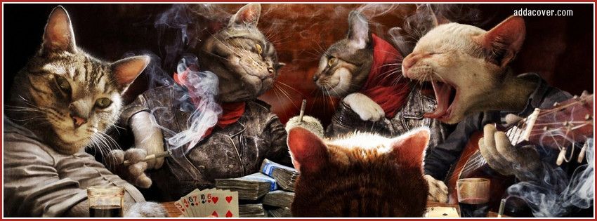 850x315 Poker Playing Cats Facebook Cover Facebook Cover - Cats Playing Poker Painting