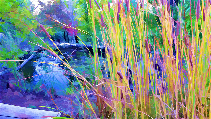 900x506 Garden With Koi Pond And Cattails Painting By Douglas Moorezart - Cattails Painting