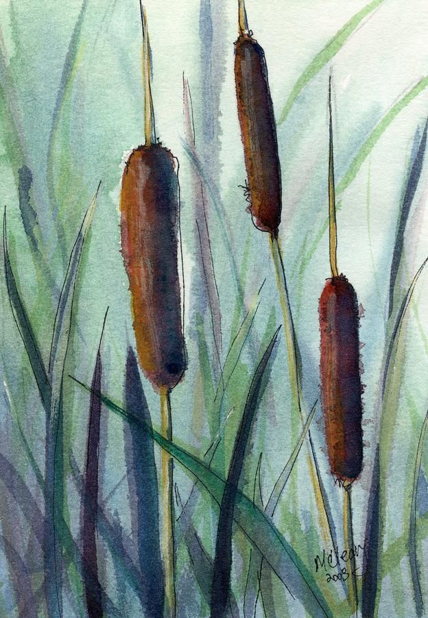 624x900 Cattails Canvas Print Canvas Art By Maryann Cleary Fine Art - Cattails Painting