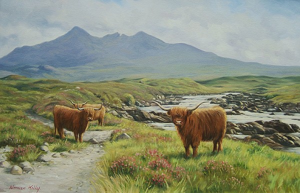 600x385 Highland Cattle Painting By Norman Kelly - Cattle Painting