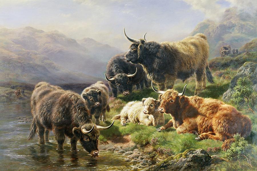 900x600 Highland Cattle Painting By William Watson - Cattle Painting