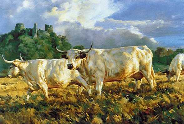 588x398 Images From Old Paintings Of The Ancient White Park Breed Of Cattle - Cattle Painting