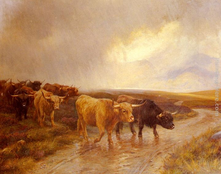 720x567 Wright Barker Highland Cattle Painting Anysize 50% Off - Cattle Painting