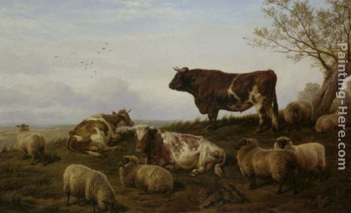 720x438 Charles Jones Cattle And Sheep Resting Painting Anysize 50% Off - Cattle Painting