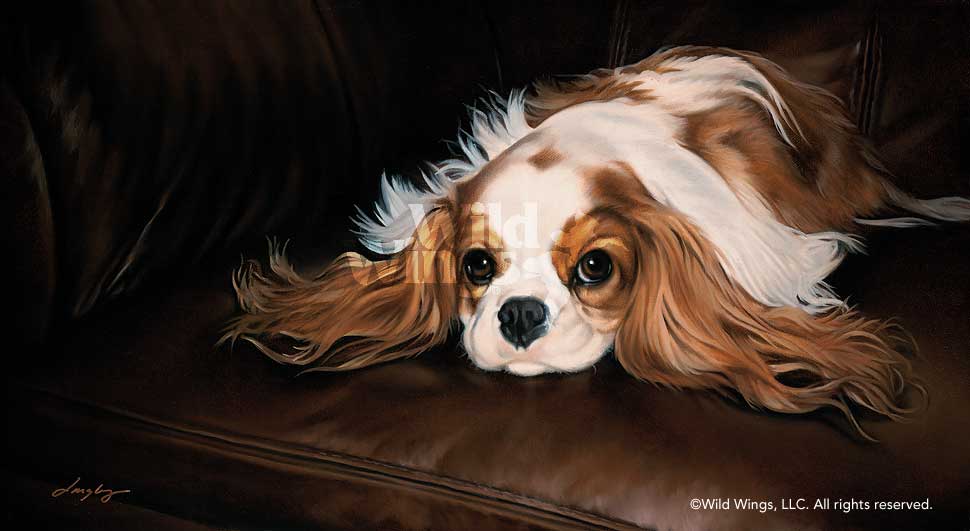 970x531 Cavalier King Charles Spaniel Original Oil Painting Wild Wings - Cavalier King Charles Painting
