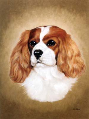 300x400 Dog Portraits - Cavalier King Charles Painting