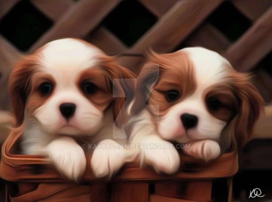 900x668 Cavalier King Charles Spaniel Puppies Oil Painting By Kayroldan - Cavalier King Charles Spaniel Painting