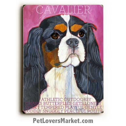 415x415 Dog Painting King Charles Spaniel Pictures - Cavalier King Charles Spaniel Painting